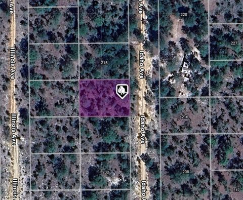 LOT 14 15 16 AND 17 IDAHO AVENUE HAWTHORNE FL 32640