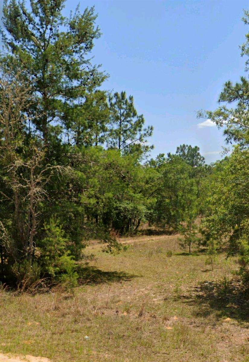 COOPER LAKE ESTATES - Land