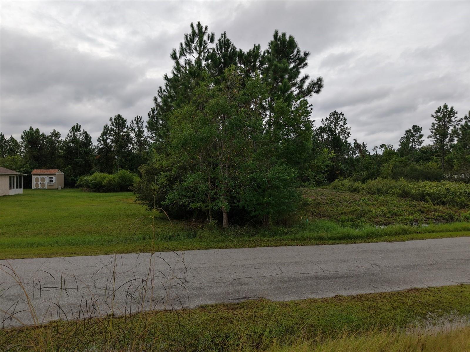 RAINTREE DRIVE