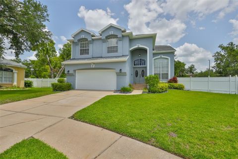 3633 SPRINGVILLE DRIVE VALRICO FL 33596