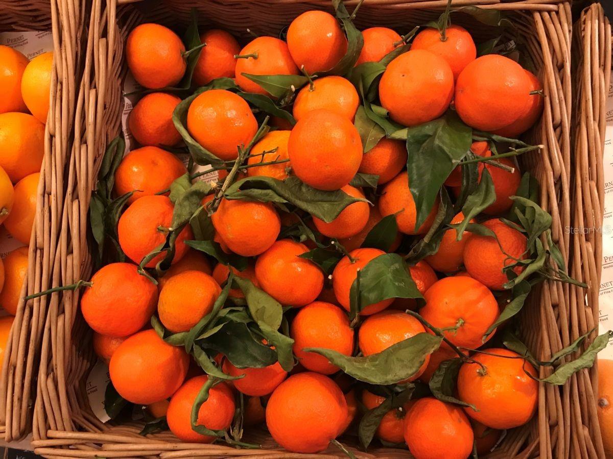 THE BEACH RESIDENCES - Residential