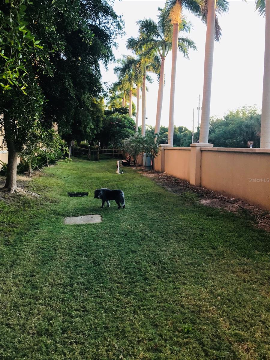 THE BEACH RESIDENCES - Residential