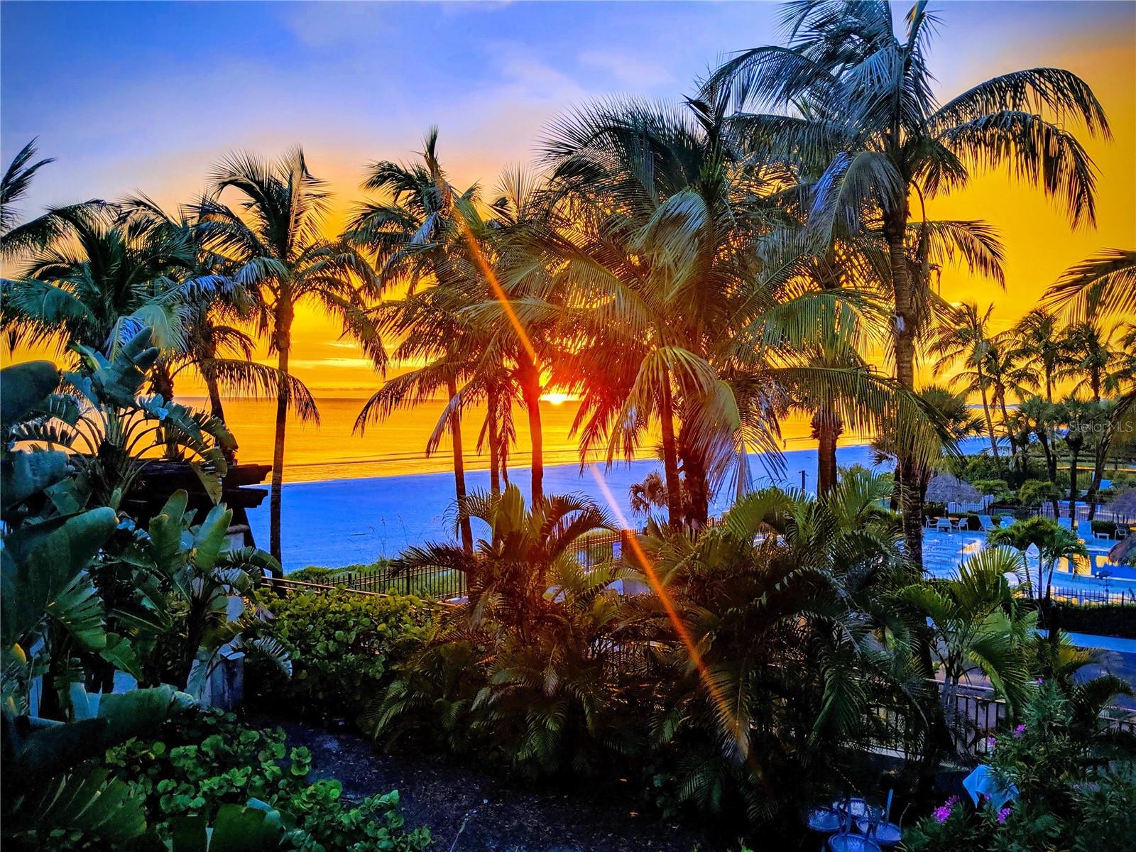 THE BEACH RESIDENCES - Residential