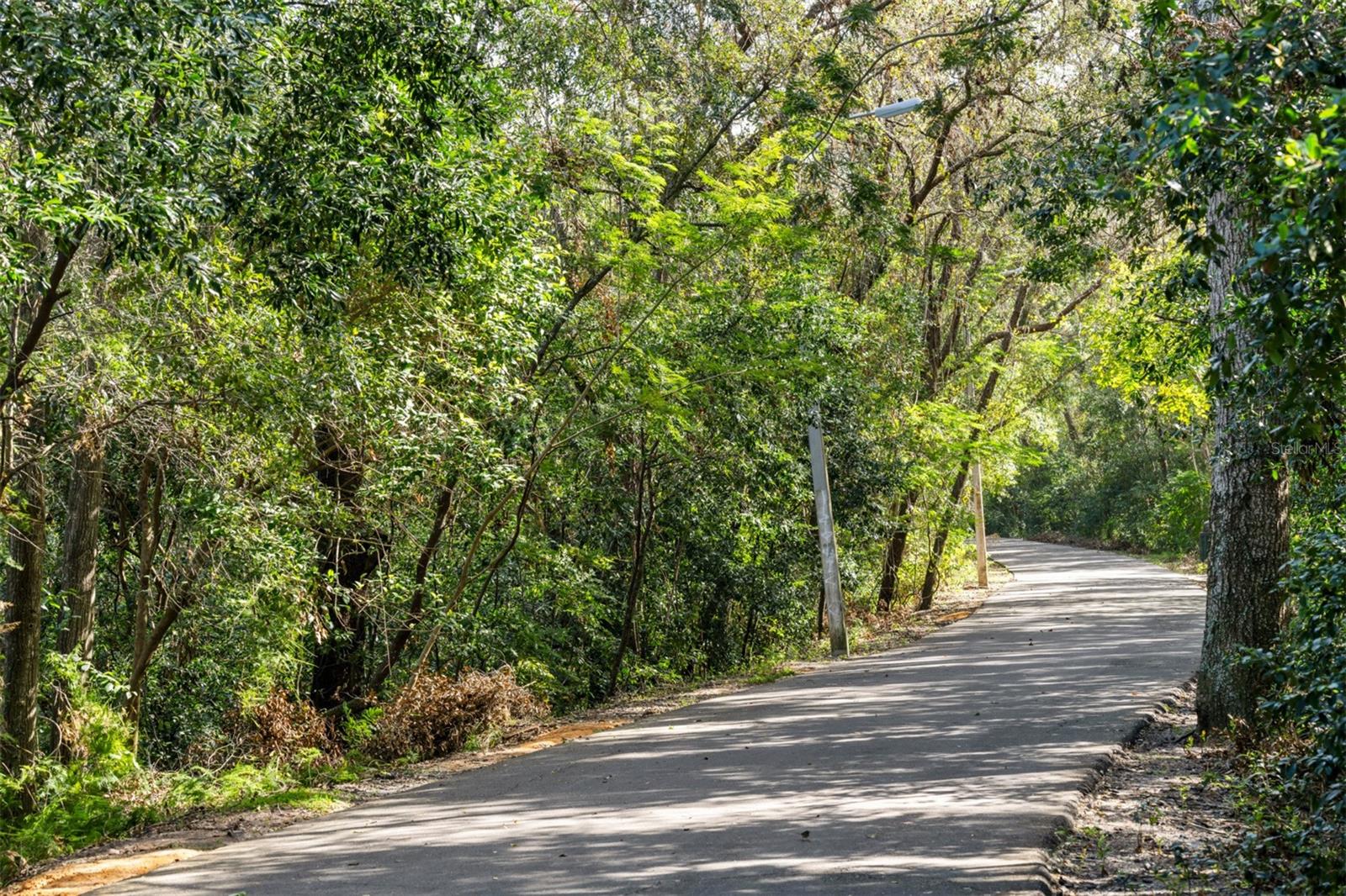 RAINWOOD - Residential