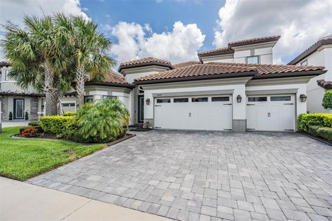 A home in LAND O LAKES