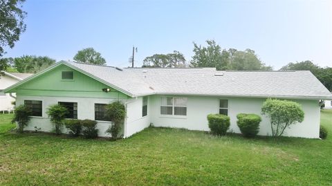 A home in PALM COAST