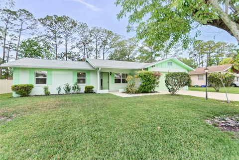 A home in PALM COAST