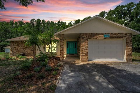 Photo of 21823 Shamu Drive, Land O Lakes, FL 34639 (MLS # TB8502039)