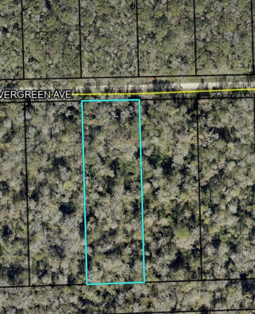 Photo of 3655 Evergreen Avenue, Bunnell, FL 32110 (MLS # FC318640)