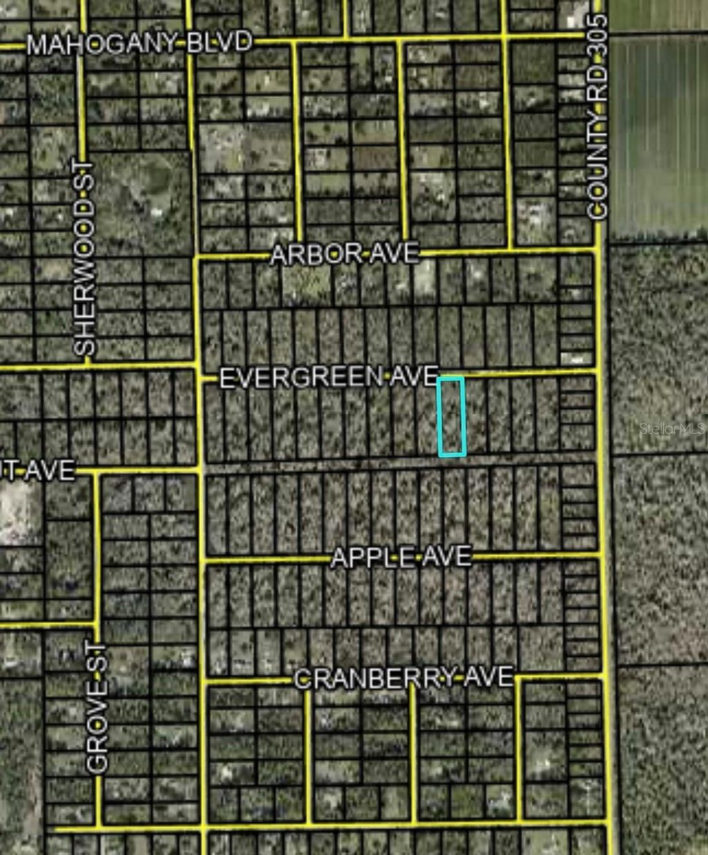 Photo of 3655 Evergreen Avenue, Bunnell, FL 32110 (MLS # FC318640)
