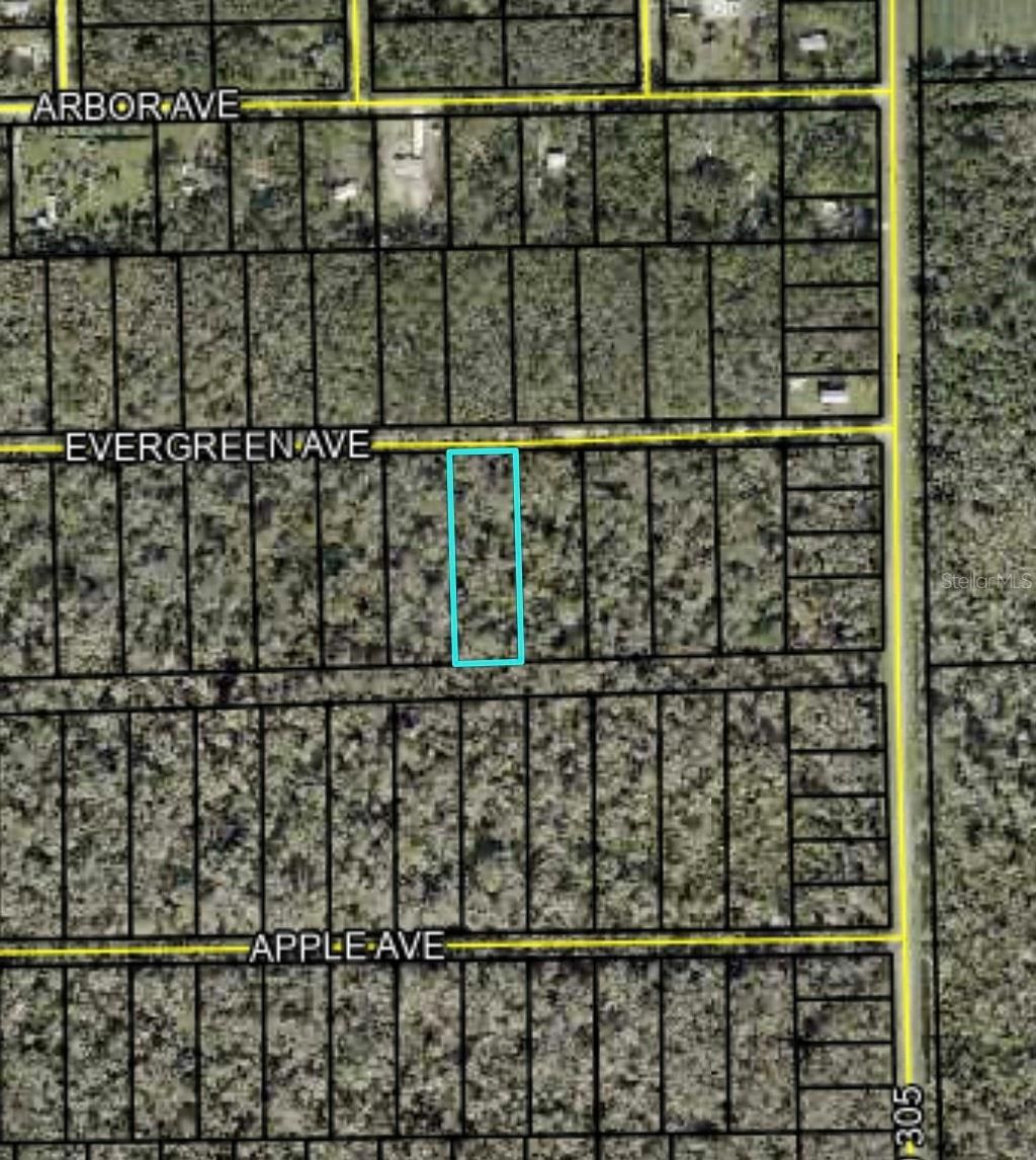 Photo of 3655 Evergreen Avenue, Bunnell, FL 32110 (MLS # FC318640)