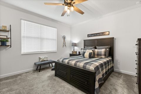 Tiny photo for 6997 Perch Hammock Loop, Groveland, FL 34736 (MLS # O6346646)