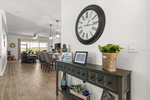 Tiny photo for 6997 Perch Hammock Loop, Groveland, FL 34736 (MLS # O6346646)