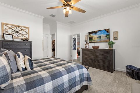 Tiny photo for 6997 Perch Hammock Loop, Groveland, FL 34736 (MLS # O6346646)