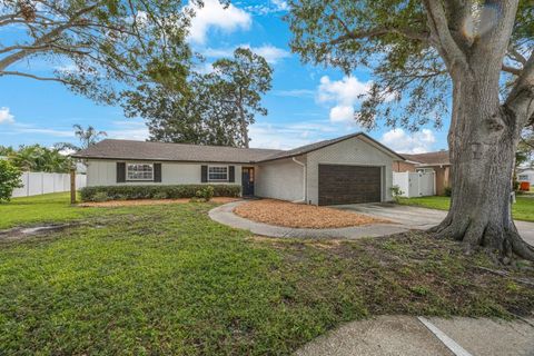 A home in SEMINOLE