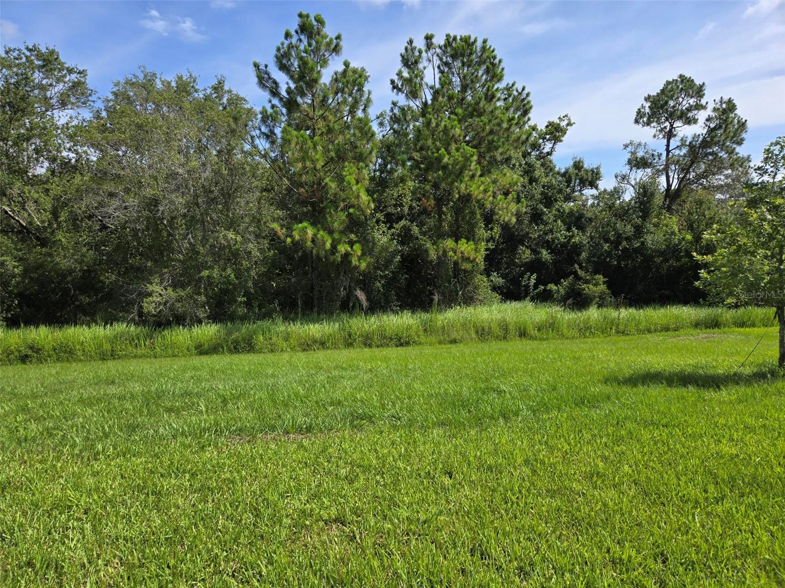 14437 MAIDEN TERRACE