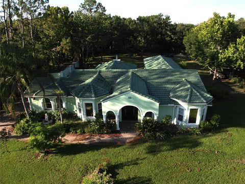 Photo of 27752 Ravens Brook Road, Wesley Chapel, FL 33544 (MLS # TB8392202)