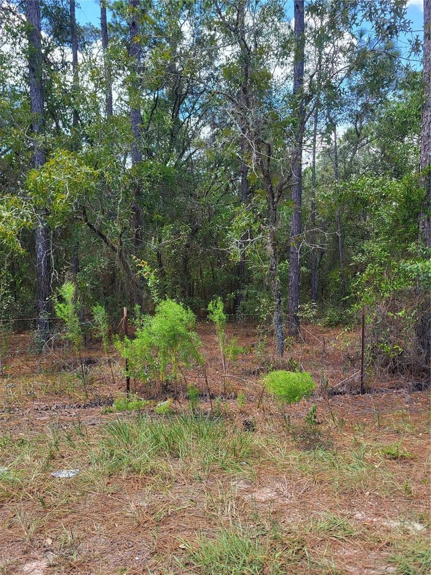 Nice high and dry, buildable, 1.26 Ac lot in Dunnellon, with paved road frontage. Zoned A-1, so it is suitable for mobile homes or site built houses. Bring your imagination and don't forget to bring the animals.