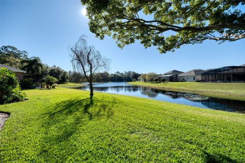 A home in ORLANDO