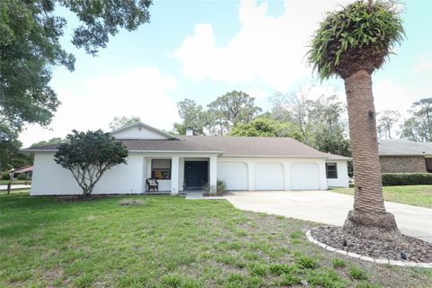 A home in ORLANDO