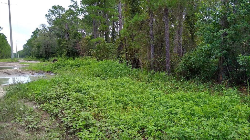 Photo of 12th Avenue, Deland, FL 32724 (MLS # O6377863)