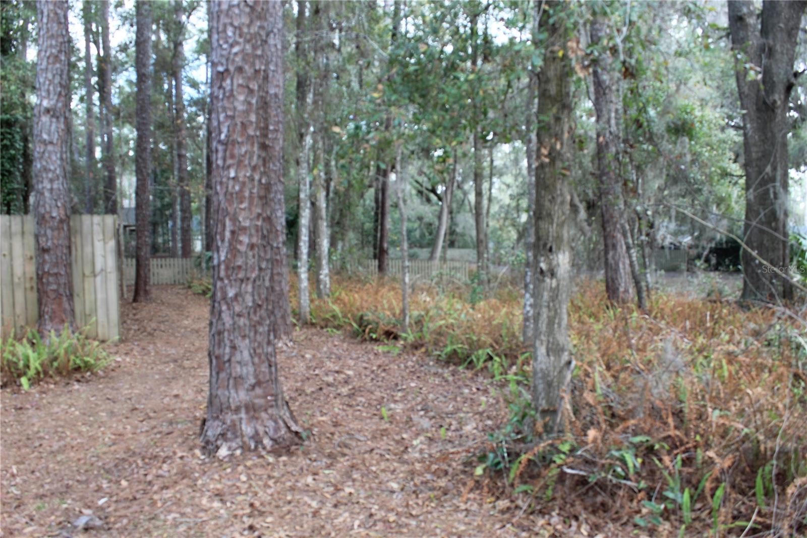 HAILE PLANTATION - Residential