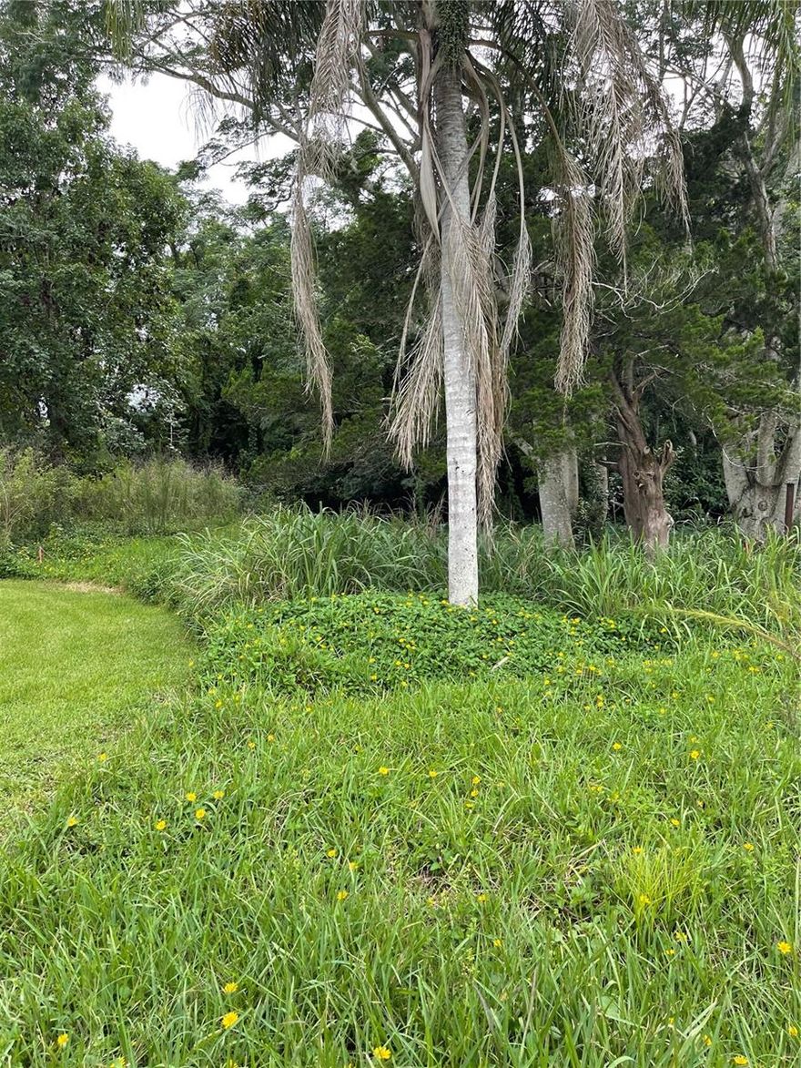 Here is a nice buildable lot inside the city limits of Oviedo. Zoned for all the best schools. Building plans in hand, variance for reduced setbacks already approved. Road extension in permitting, almost ready to build. Use our contractor with a base price of $160,000 per home or bring your own. Lots of profit to be made here, priced for a quick sale. 8 lots for sale, but one or all.