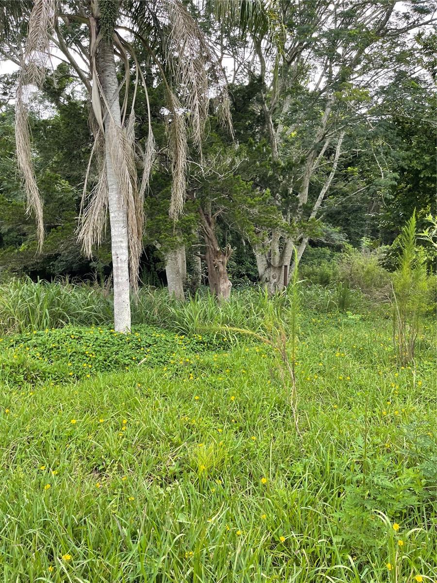 MILTON SQUARE ADD - Land