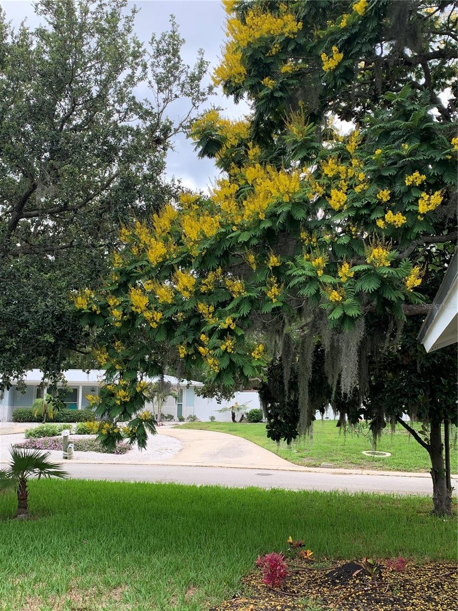 CONNIEWOOD - Residential