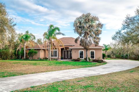 Photo of 1018 Lightfoot Road, Wimauma, FL 33598 (MLS # TB8482693)