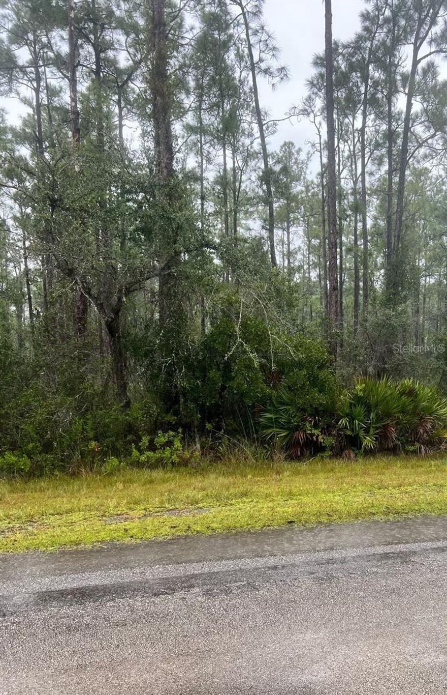 Vacant residential lot available in the established community of Indian Lake Estates in Ocala. A great opportunity to build your custom home in a peaceful setting surrounded by natural Florida beauty. Conveniently located near shopping, dining, medical facilities, and major roadways. Build now or invest for the future—don’t miss this opportunity!