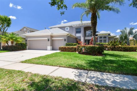 A home in TAMPA