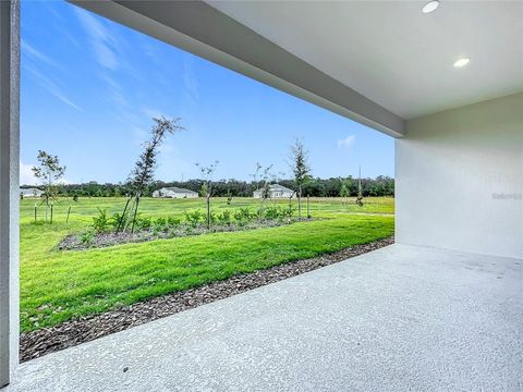 A home in MOUNT DORA