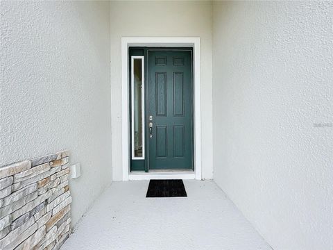 A home in MOUNT DORA