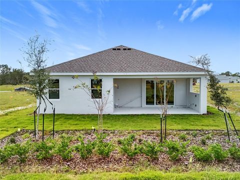 A home in MOUNT DORA