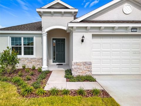 A home in MOUNT DORA