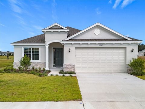 A home in MOUNT DORA