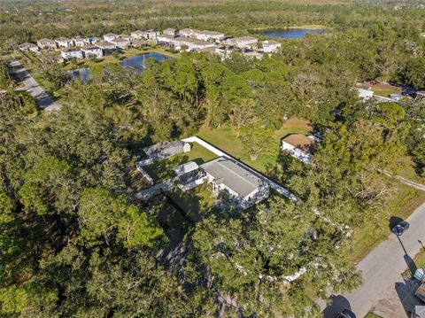 A home in TAMPA