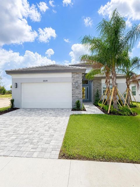 Photo of 32630 Neroli Street, Wesley Chapel, FL 33543 (MLS # TB8523374)