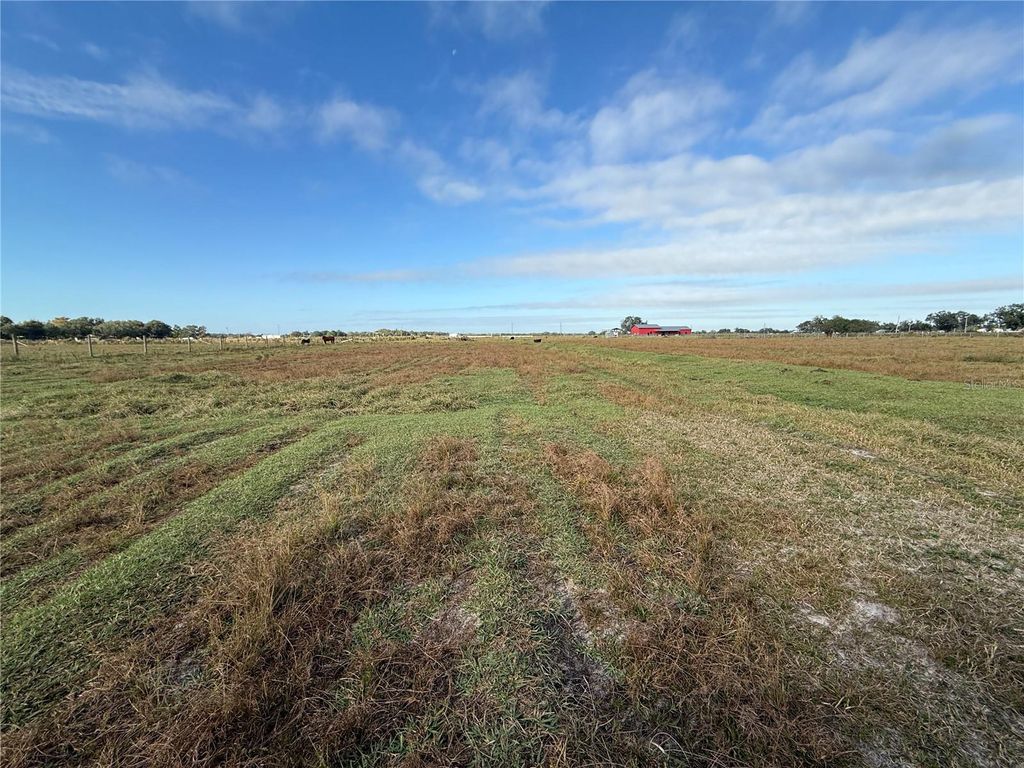 Photo of SE Reynolds Street, Arcadia, FL 34266 (MLS # C7518923)