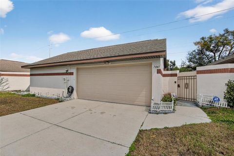 Photo of 7041 Silvermill Drive, Tampa, FL 33635 (MLS # TB8483843)