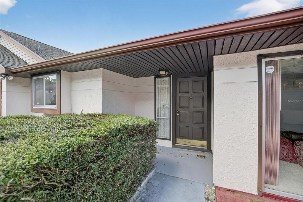 Photo of 7041 Silvermill Drive, Tampa, FL 33635 (MLS # TB8483843)