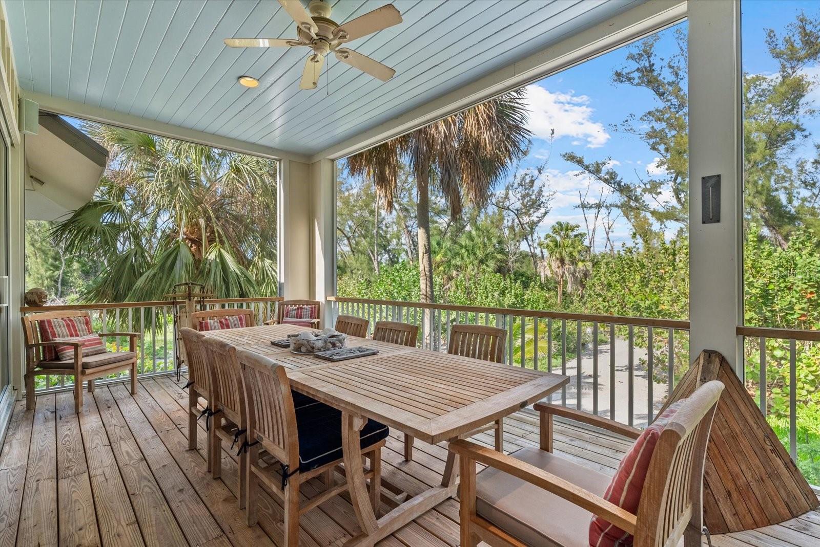 JEW FISH KEY - Residential