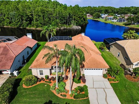 2691 SADDLEWOOD LANE PALM HARBOR FL 34685