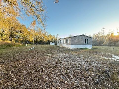 Photo of 15356 Apache Drive, Thonotosassa, FL 33592 (MLS # TB8469890)