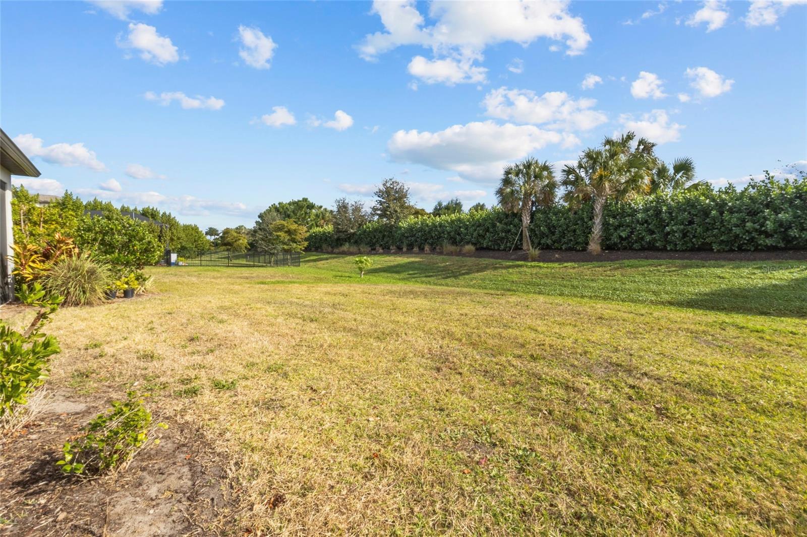 PARK EAST AT AZARIO - Residential