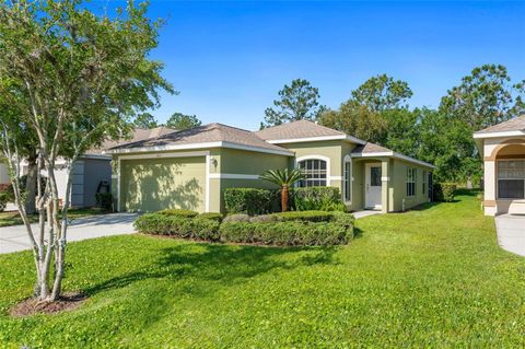 A home in LAND O LAKES