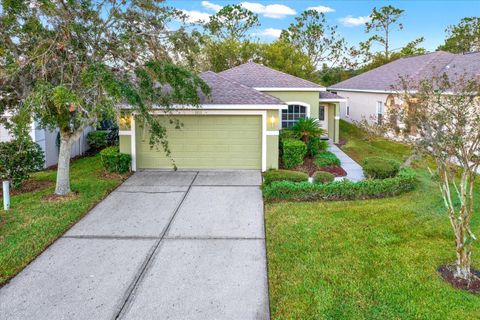 A home in LAND O LAKES