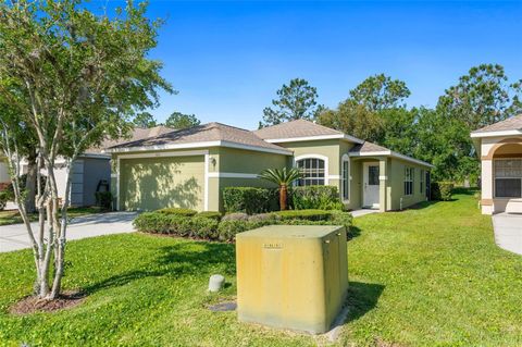 A home in LAND O LAKES