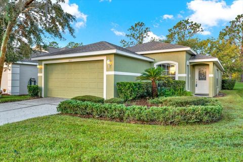 A home in LAND O LAKES